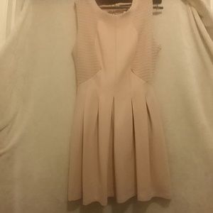 BCBG A-Line Dress (Blush)